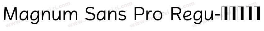 Magnum Sans Pro Regu字体转换